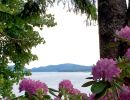 framed by nature